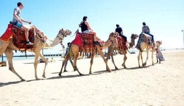 Horse Riding Desert and Sea Experience in Hurghada, photo 2