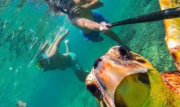 Beginner Scuba Experience with Boat Dives in Hurghada, photo 2