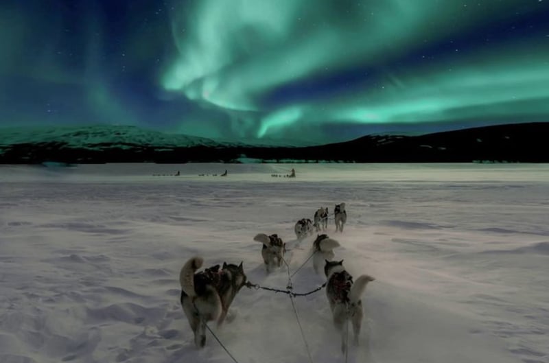 Husky Ride and Northern Lights Evening Experience in Rovaniemi gallery 2