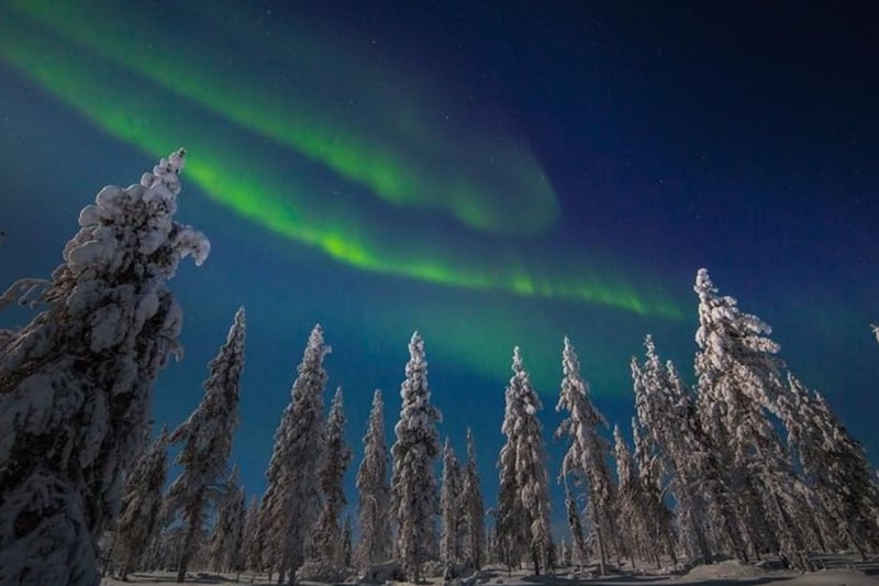 Husky Ride and Northern Lights Evening Experience in Rovaniemi gallery 3