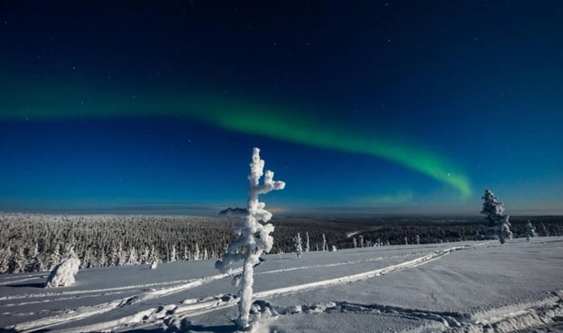 Husky Ride and Northern Lights Evening Experience in Rovaniemi gallery 4