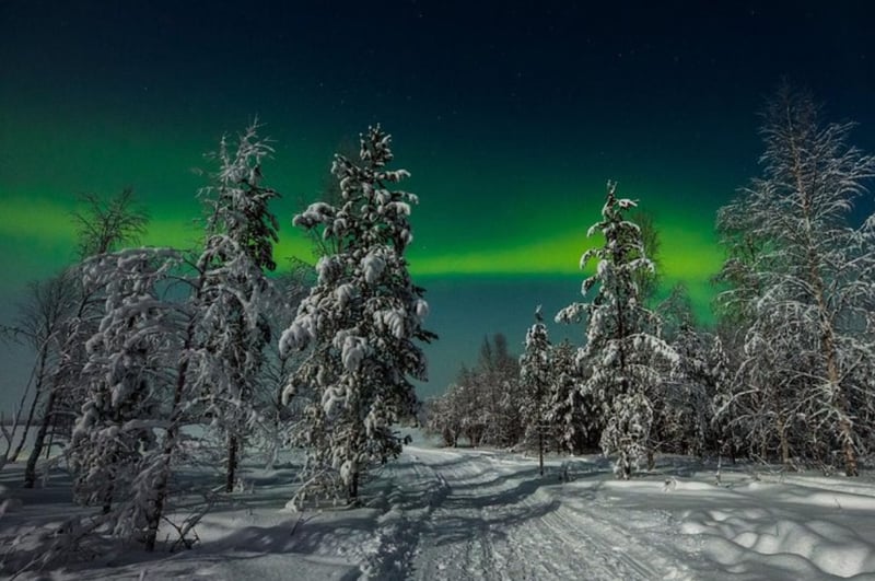 Husky Ride and Northern Lights Evening Experience in Rovaniemi gallery 5