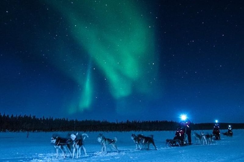Husky Ride and Northern Lights Evening Experience in Rovaniemi, photo 2