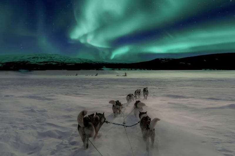 Husky Ride and Northern Lights Evening Experience in Rovaniemi, photo 5