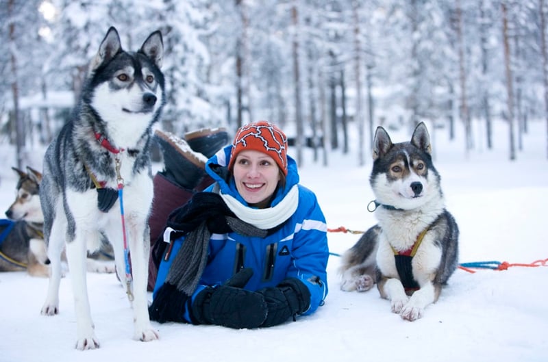 Snowy Trails Husky Safari Experiences in Lapland (5 km, 10 km & 20 km), photo 3
