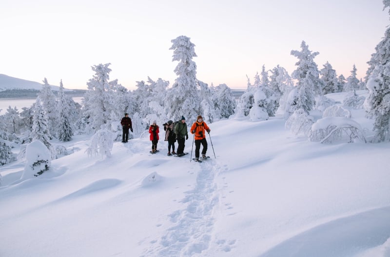 Arctic Snowshoeing Day in Rovaniemi, Lapland, photo 2