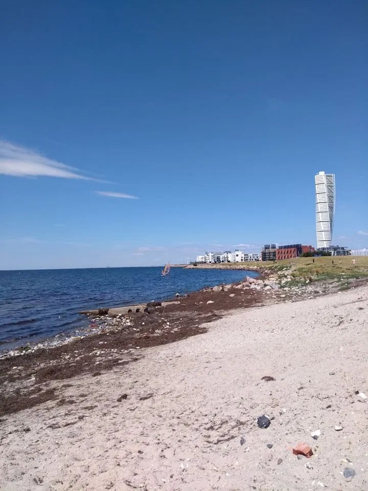 Beginner Windsurfing Progression Lesson in Malmö (Day 2+ Ribersborg), photo 4