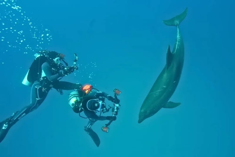 7-Day Galapagos Diving Tour, photo 4