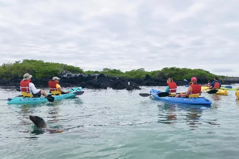 8-Day Galapagos Biking Hiking Snorkelling and Kayaking Adventure, photo 2