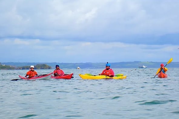 Kayak Seal Safari – Tenby Beach to Caldey Island, photo 2