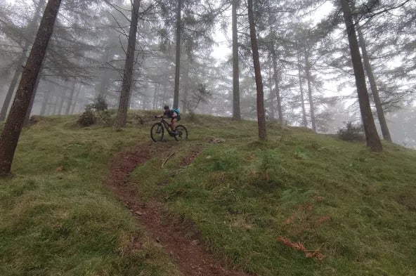 Mountain Bike Rental in San Sebastián, photo 3