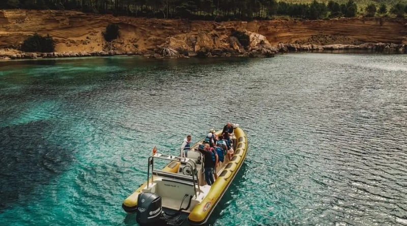 Dolphin Watching Boat Tour in Can Picafort, photo 2