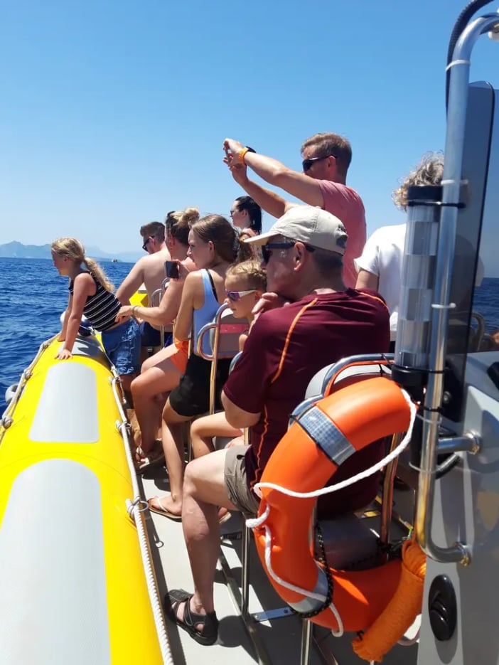 Dolphin Watching Boat Tour in Can Picafort, photo 3