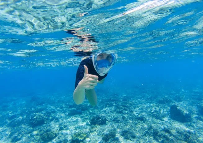 Monster SUP Snorkel Tours in Newquay Harbour, photo 3