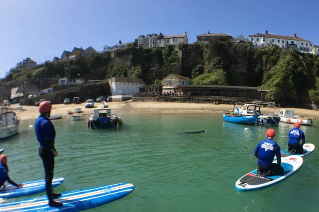 SUP Beginner Lessons in Newquay Harbour, photo 2