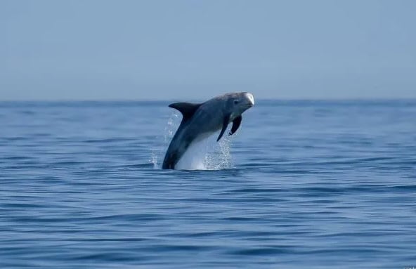 Golden Hour Boat Trip Experience in Penzance, Cornwall, photo 4