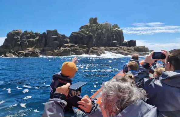 Rounding Cornwall Boat Trip Experience in Penzance and Hayle, photo 2