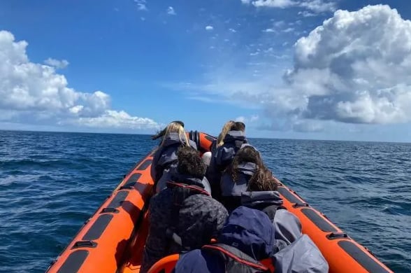 Godrevy to Hell’s Mouth Boat Trip from Hayle, Cornwall, photo 4