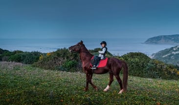 Horseback Riding Experience in Tangier Mnar Coast, photo 3