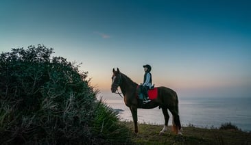 Horseback Riding Experience in Tangier Mnar Coast, photo 4