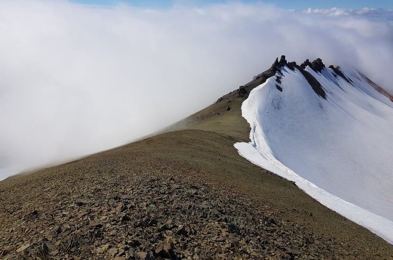 Wild Iceland Expedition to Nupstaðarskógar, photo 2