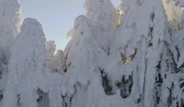 Private 2 Day Snowshoe Adventure from Sofia, photo 2