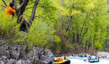 Ultimate White Water Rafting on the Struma River, photo 4