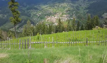 Private Buggy Adventure in the Bulgarian Mountains, photo 4