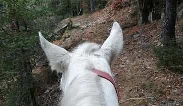 Private Horse Riding Tour to Perelik Peak, photo 2