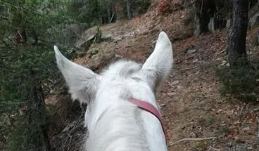 Horse Riding Tour to Soskovcheto Preserve, photo 3