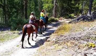 Horse Riding Tour to Soskovcheto Preserve, photo 4