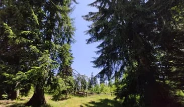 Private 2 Day Horseback Riding Adventure in the Rhodope Mountains, photo 2