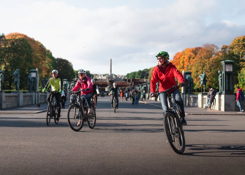 Oslo Highlights Bike Tour, photo 4