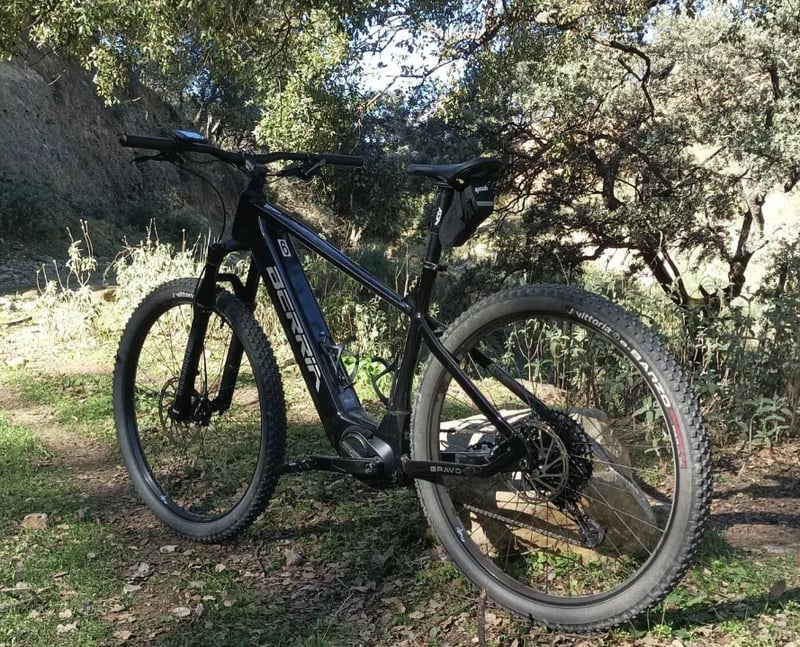 E-Bike Rental in Montecorto, Málaga, photo 3