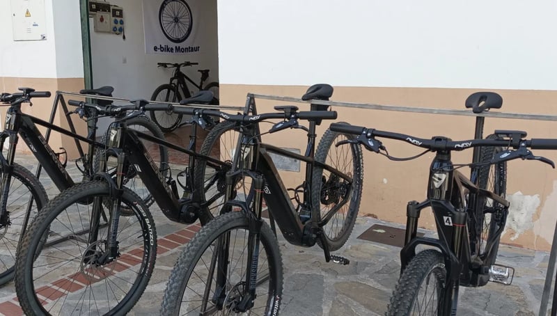 E-Bike Rental in Montecorto, Málaga, photo 4