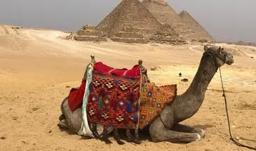 Private Giza Desert Adventure with ATV Ride, Camel Trek and Pyramids, photo 3