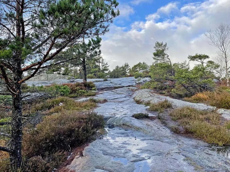 Kristiansand Lochner Hiking Adventure, photo 5