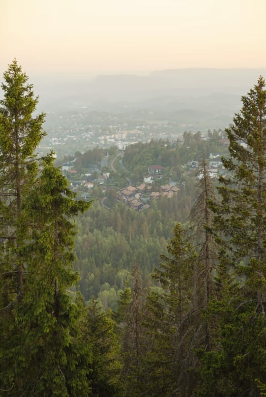 Holmenkollen Hiking Adventure in Oslo gallery 6
