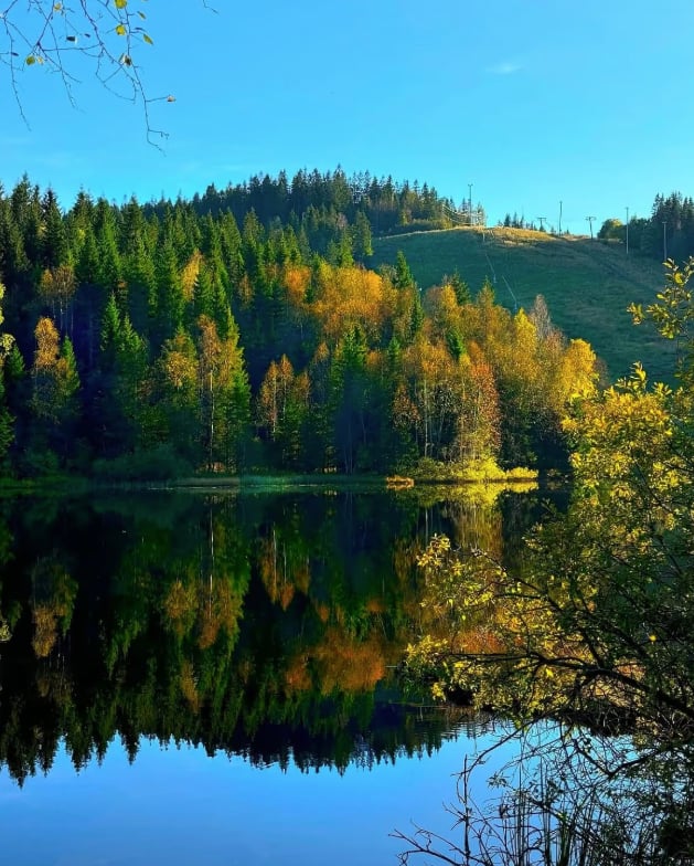 Oslo Forest Hiking Adventure with Pastries and Lake Swim, photo 4
