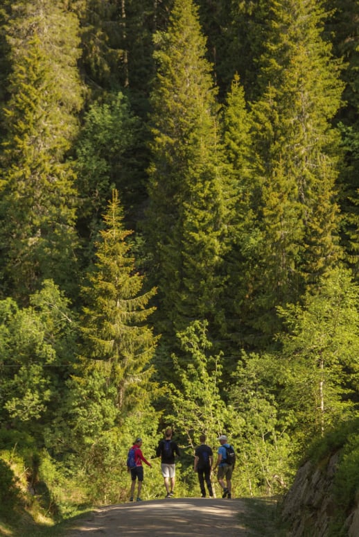 Oslo Forest Hiking Adventure with Pastries and Lake Swim gallery 4