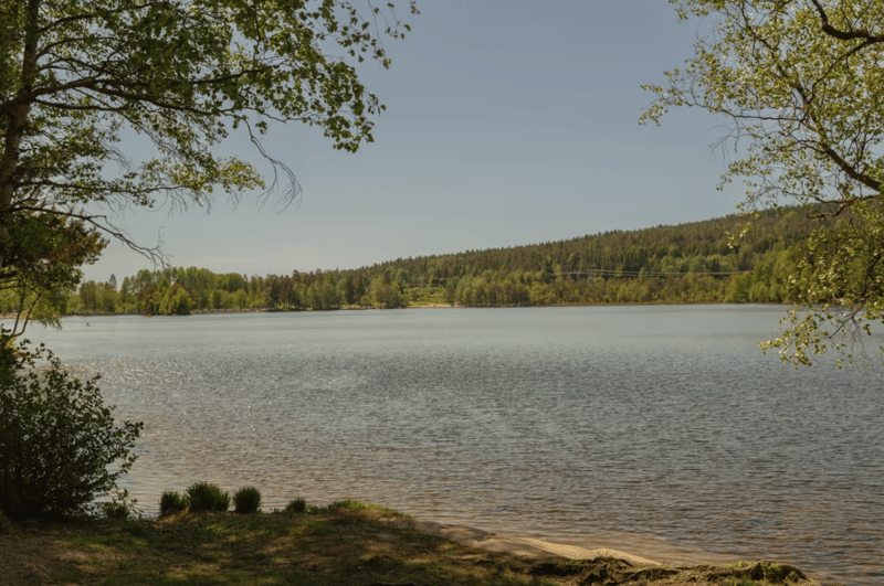 Oslo Forest Hiking Adventure with Pastries and Lake Swim gallery 5