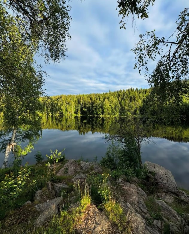 Oslo Forest Hiking Adventure with Pastries and Lake Swim, photo 5
