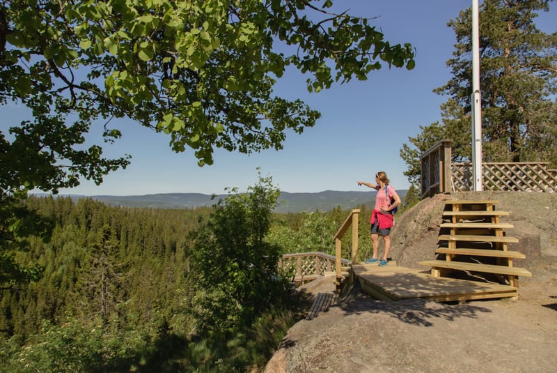 Nordmarka Wildlife Hiking Adventure in Oslo gallery 8