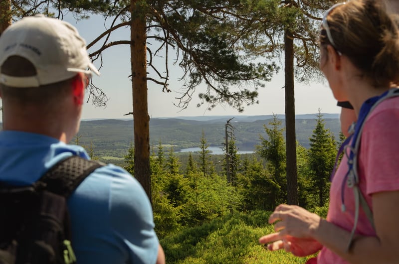 Nordmarka Wildlife Hiking Adventure in Oslo gallery 9