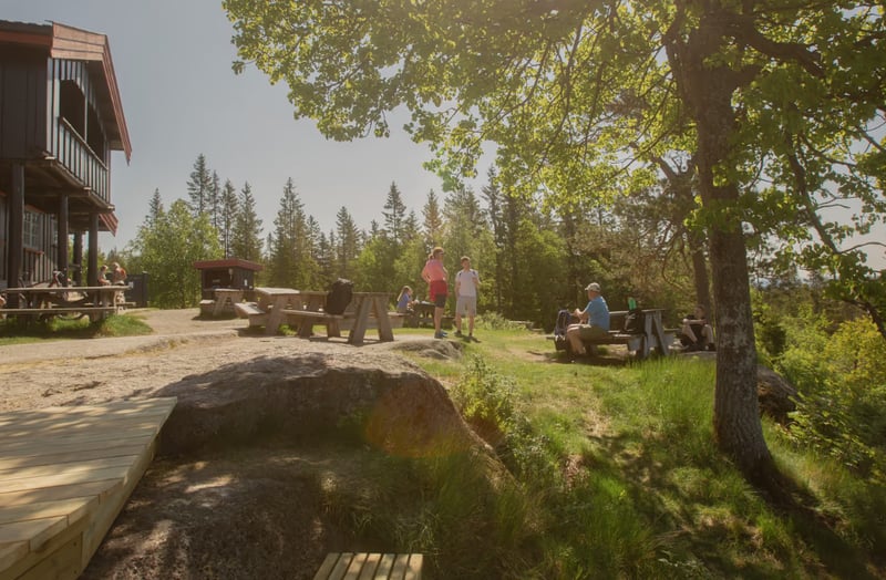Nordmarka Wildlife Hiking Adventure in Oslo gallery 10