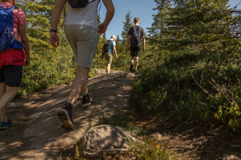 Nordmarka Wildlife Hiking Adventure in Oslo gallery 2