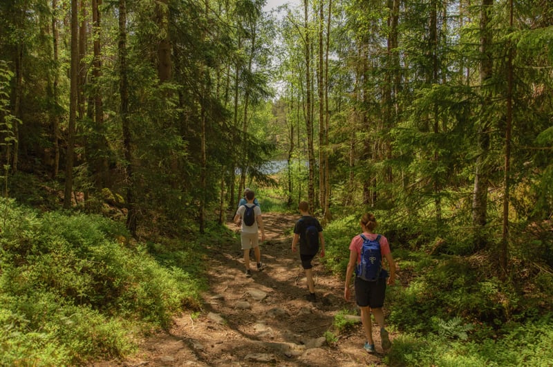 Nordmarka Wildlife Hiking Adventure in Oslo gallery 5