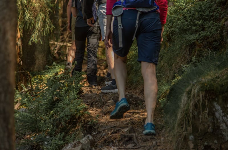 Nordmarka Wildlife Hiking Adventure in Oslo gallery 6