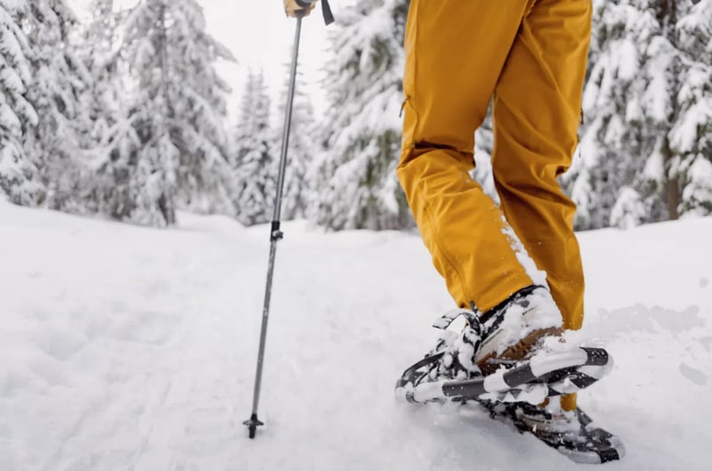 Oslo Snowshoe Hiking Adventure, photo 3