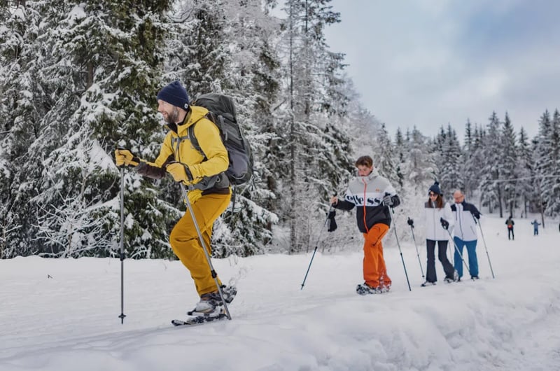 Oslo Snowshoe Hiking Adventure, photo 4
